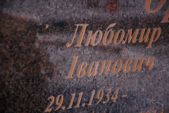 pozolota