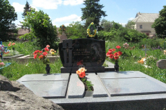 Pl018