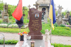 Pl133
